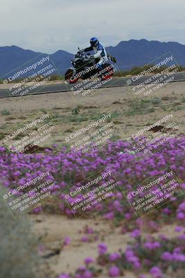 media/Jan-14-2023-SoCal Trackdays (Sat) [[497694156f]]/Turn 14 Exit Bloomig (145pm)/